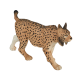 Mojo Iberische lynx 387064