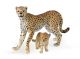 Papo Wild Life Gepard mit Jong 50044