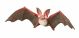 Papo Wild Life Fledermaus 50239