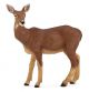 Papo Wild Life Hirschkuh 53014