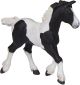 Papo Horses Cob Fohlen schwarz 51508