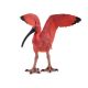 Papo Wild Life Roter Ibis 50314