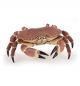 Papo Wild Life Krabbe 56047 