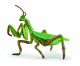 Papo Wild Life Gottesanbeterin 50244