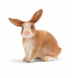 Schleich Farm World Kaninchen 13827 