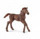 Schleich Horse Club Englisch Vollblut Fohlen 13857 