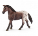 Schleich Horse Club Appaloosa Stute 13861 