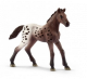 Schleich Horse Club Appaloosa Fohlen 13862 