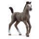 Schleich Horse Club Chaval de Selle Francais Hengt 13957