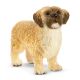 Schleich Farm World Shih Tzu Malteser 13931