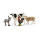Schleich 42385 Farm World Starter-Set