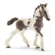 Schleich Horse Club Tinker Fohlen 13774 