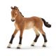 Schleich Horse Club Tennessee Walker Fohlen 13804 