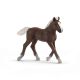 Schleich Horse Club Schwarzwälder Fohlen13899 