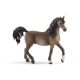 Schleich Horse Club Araber Hengst 13907 
