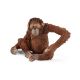 Schleich Wild Life Orang-Utan Weibchen 14775 