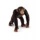Schleich 14817 Schimpanse Männchen