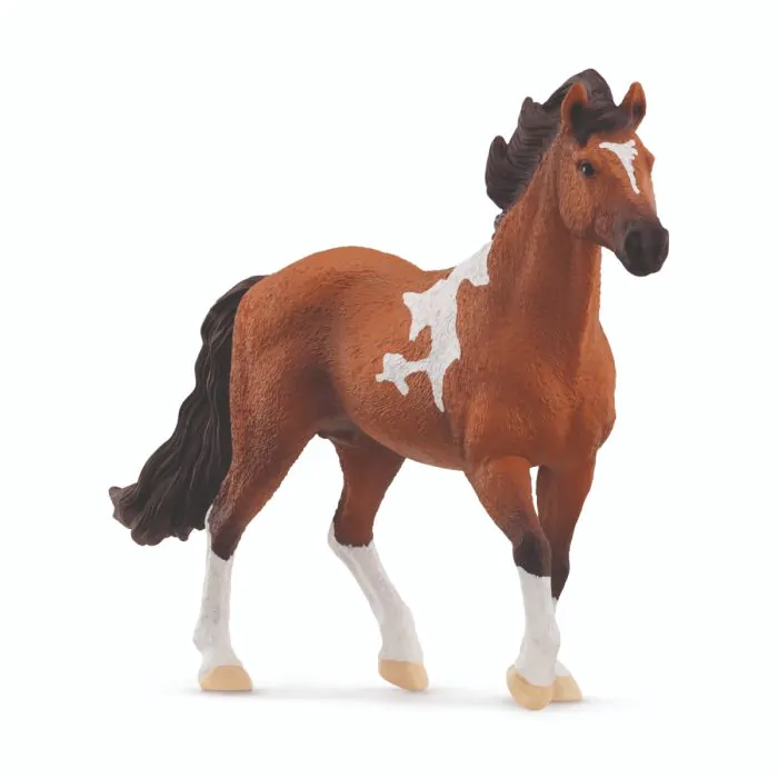 Schleich Horse Club Pferd Mangalarga Marchador Hengst 13978