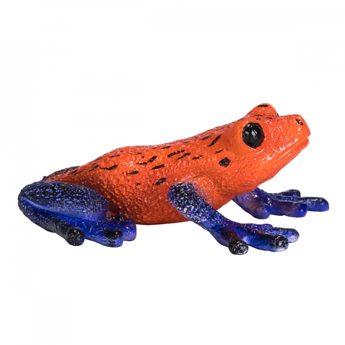 Mojo Wild Life Pfeilgiftfrosch 381016
