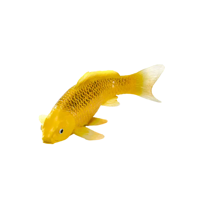 Mojo Farmland Koi Karpfen - Kin Matsuba Koi (Goldfarben) 381105