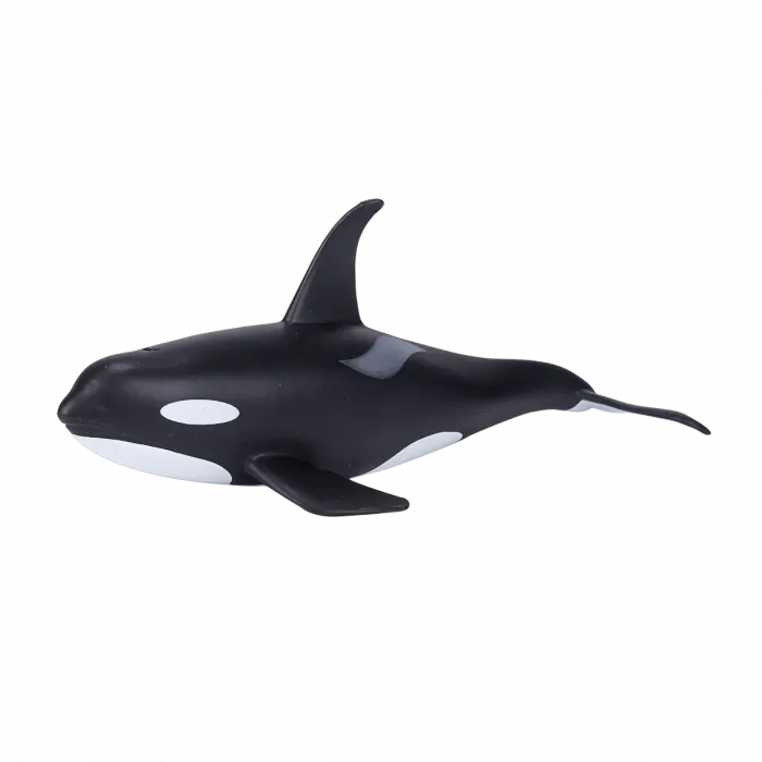 Mojo Sea Life Orca-Männchen 387114