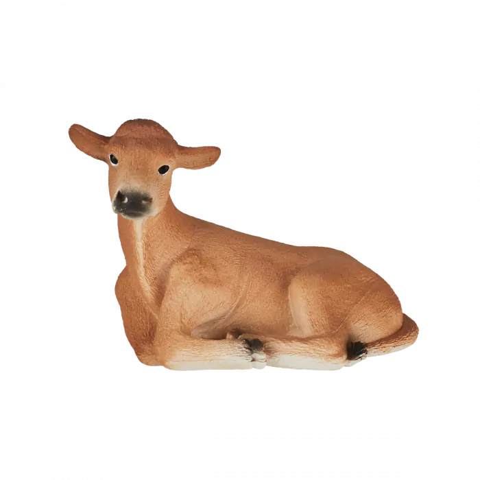 Mojo Farmland Jersey-Kalb, liegend 387144