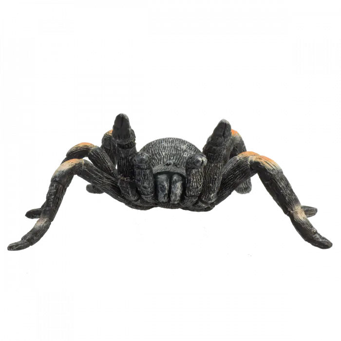 Mojo Wild Life Rote Knie-Vogelspinne 387213