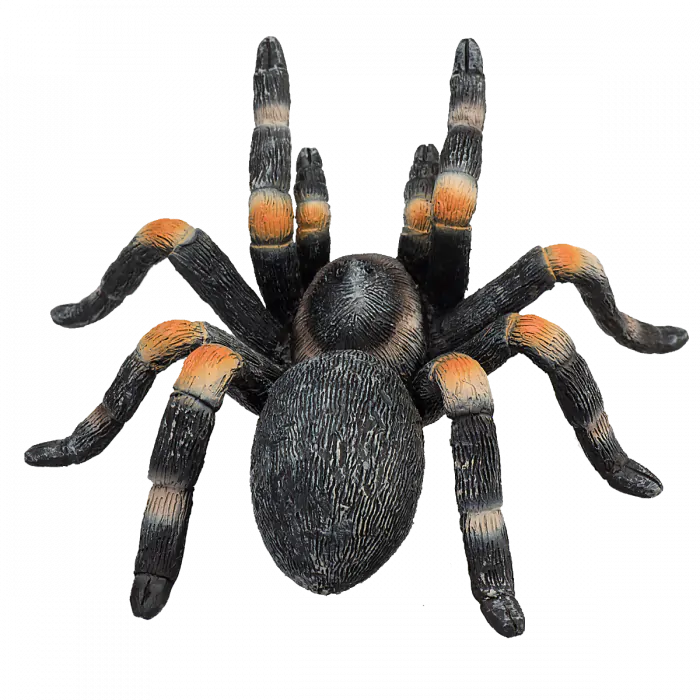 Mojo Wild Life Rote Knie-Vogelspinne 387213