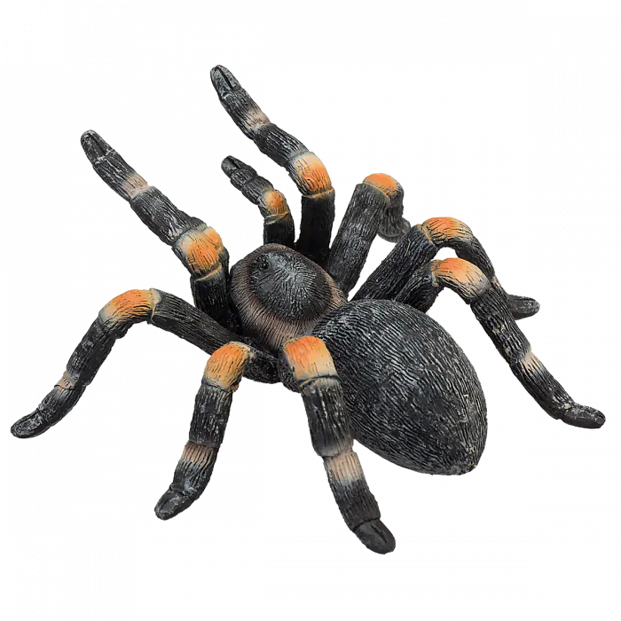Mojo Wild Life Rote Knie-Vogelspinne 387213