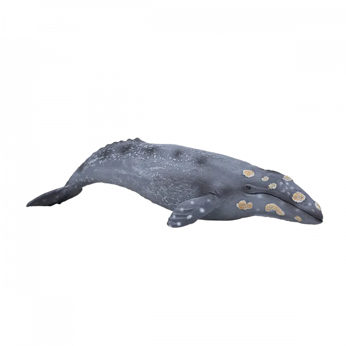 Mojo Sea Life Grauwal 387280