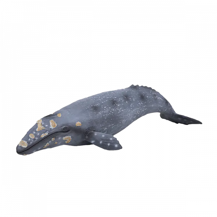 Mojo Sea Life Grauwal 387280
