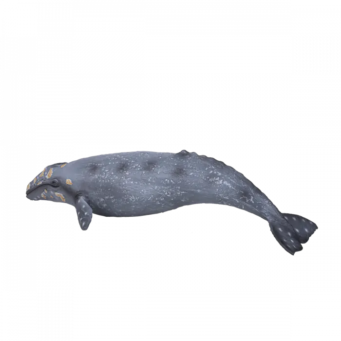 Mojo Sea Life Grauwal 387280