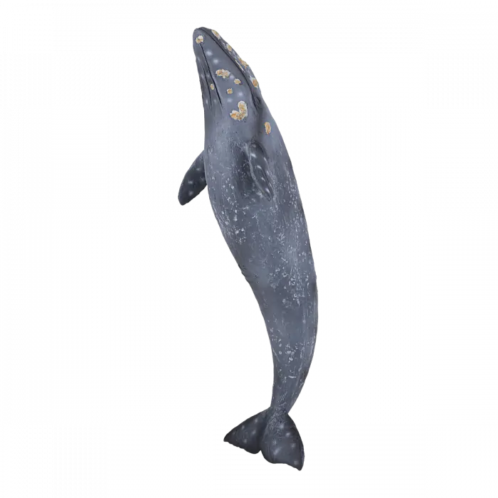Mojo Sea Life Grauwal 387280