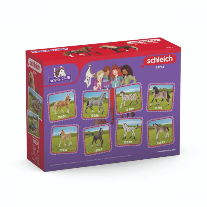 Schleich Horse Club "Paso Peruano" Starter-Set 42738