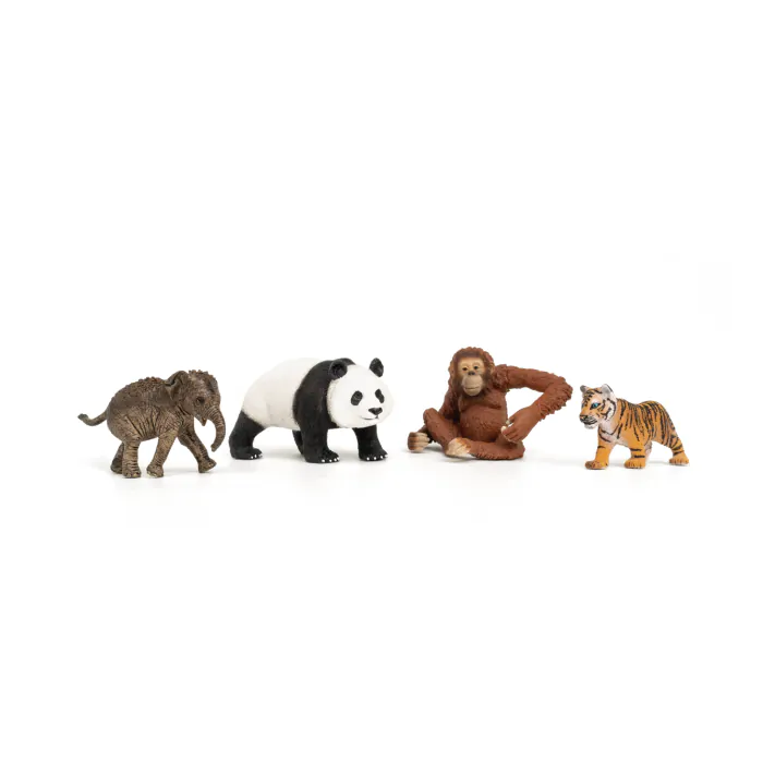 Schleich Wild Life Asien Starter-Set 42736
