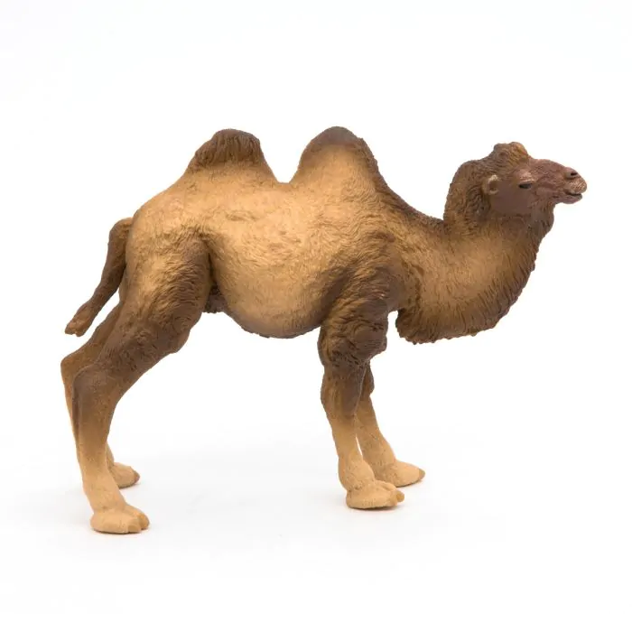 Papo Wild Life Baktrisches Kamel 50129