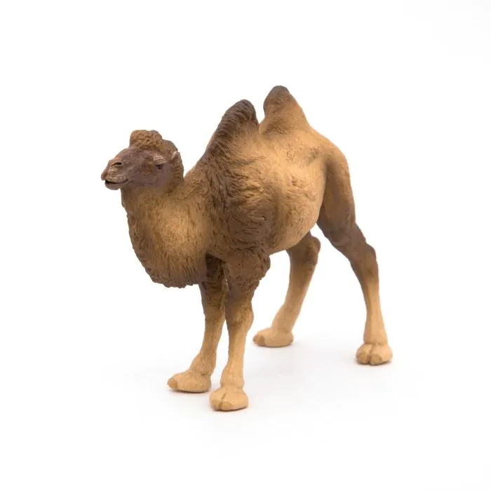 Papo Wild Life Baktrisches Kamel 50129