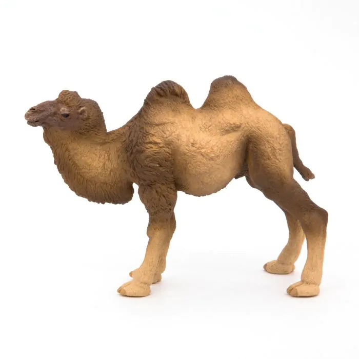 Papo Wild Life Baktrisches Kamel 50129