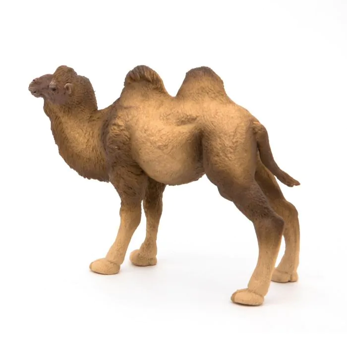 Papo Wild Life Baktrisches Kamel 50129