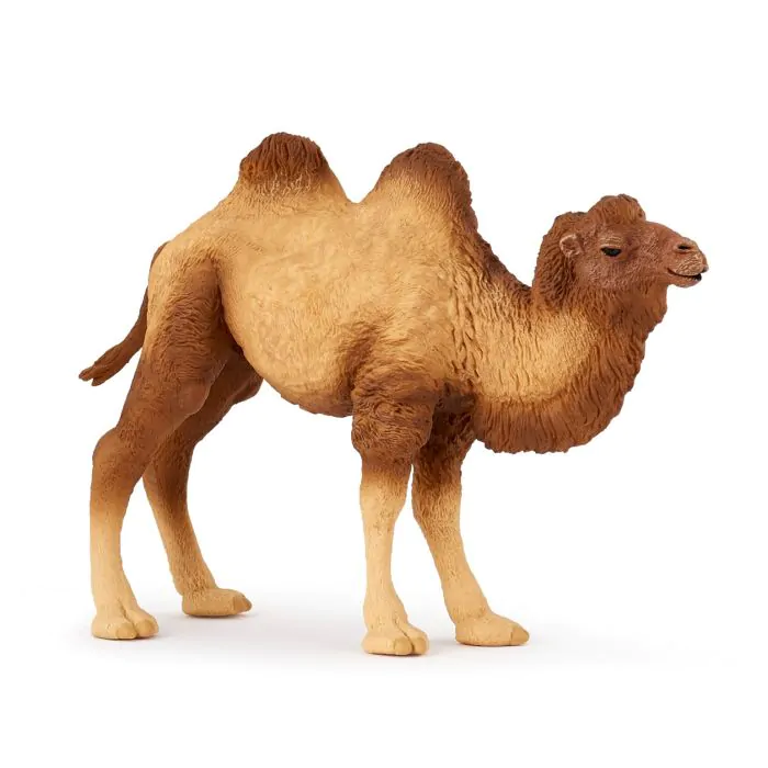 Papo Wild Life Baktrisches Kamel 50129