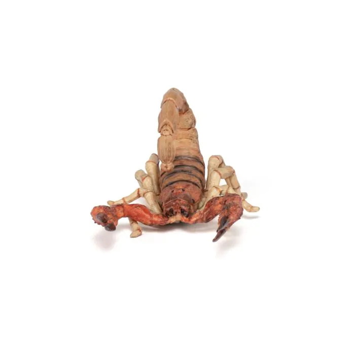 Papo Wild Life Skorpion 50209
