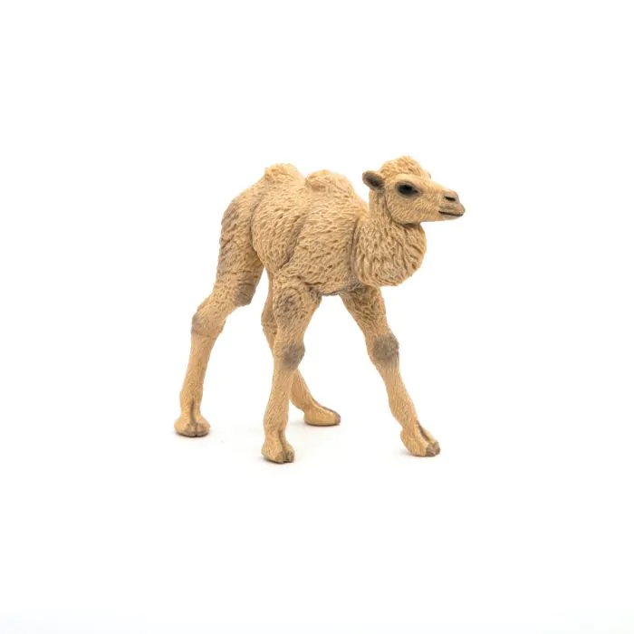 Papo Wild Life Kamelkalb 50221