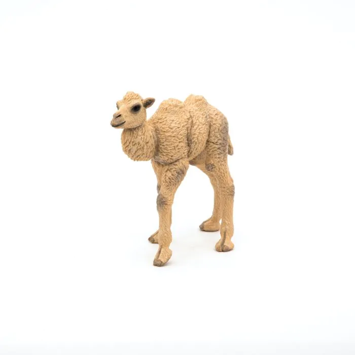 Papo Wild Life Kamelkalb 50221