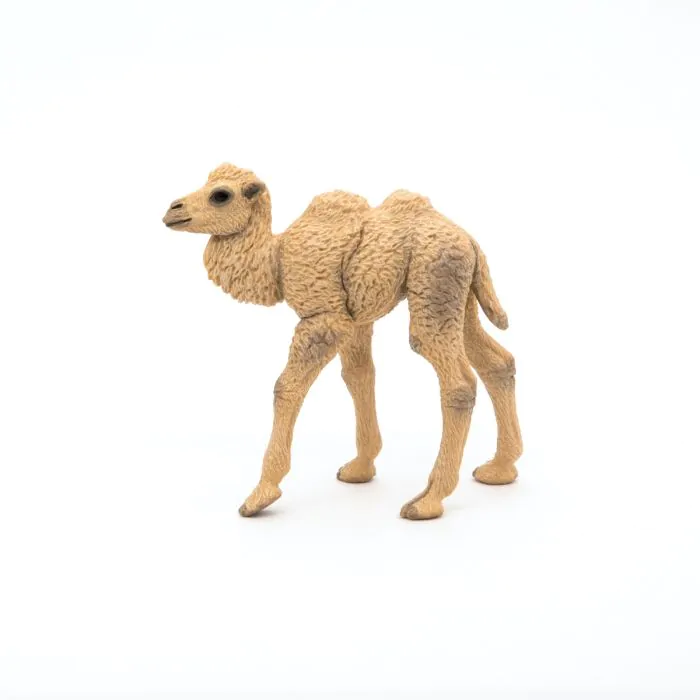 Papo Wild Life Kamelkalb 50221