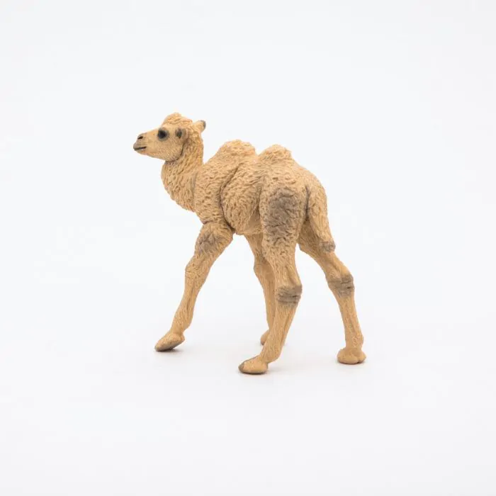 Papo Wild Life Kamelkalb 50221