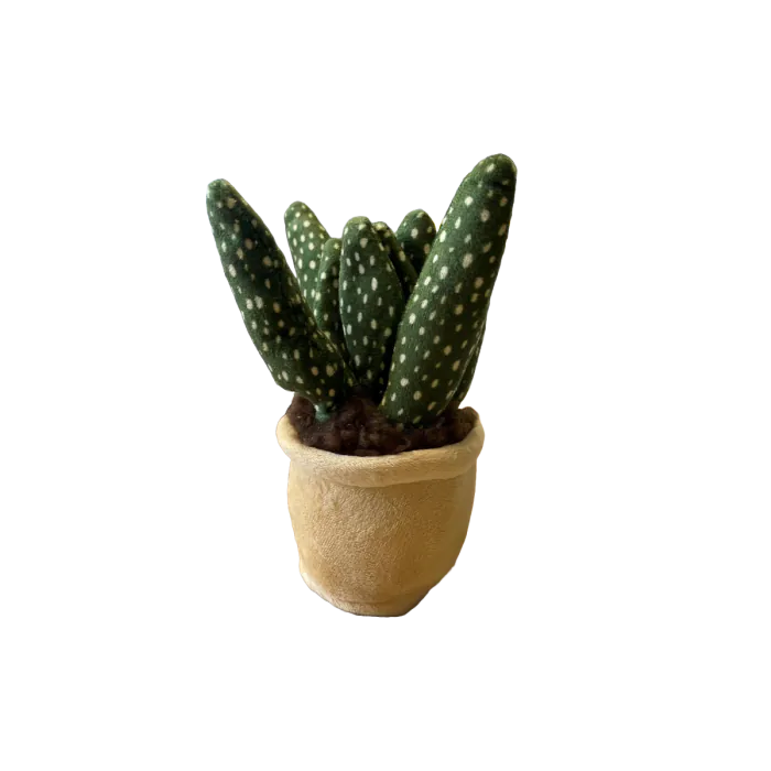 Take Me Home Pflanze Plüsch Aloe Vera 12-17cm 660572