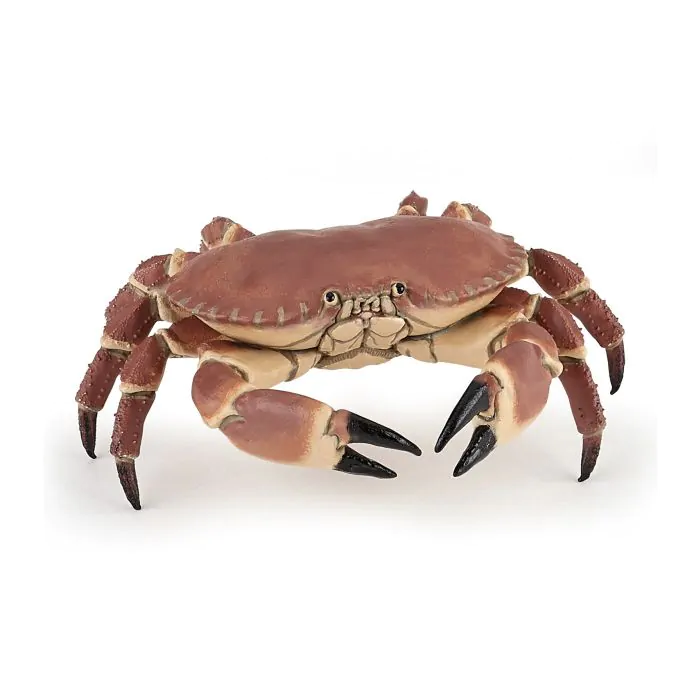 Papo Wild Life Krabbe 56047