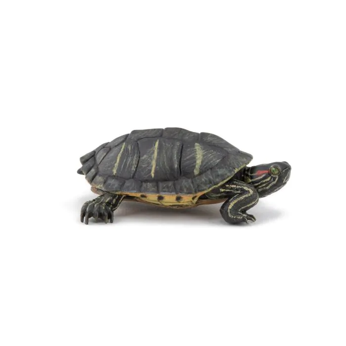 Papo Wild Life Florida-Schildkröte 50309