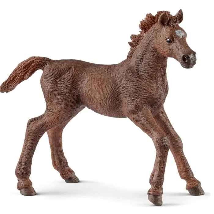Schleich Horse Club Geheimes Turnier-Training am Caravan exclusief 72141 