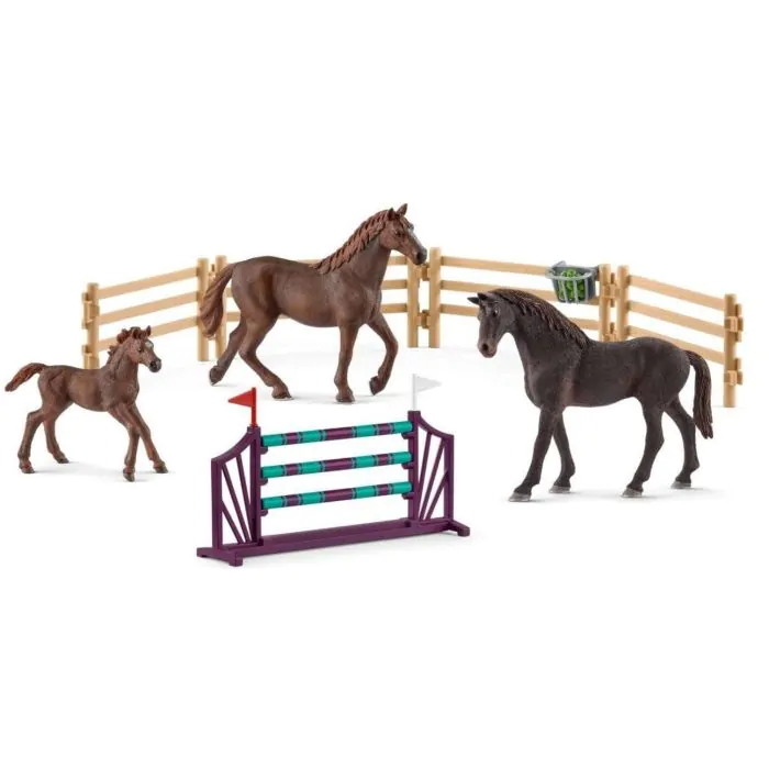 Schleich Horse Club Geheimes Turnier-Training am Caravan exclusief 72141 